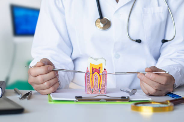 Best Knocked-Out Tooth (Avulsed Tooth) Treatment in Benavides, TX