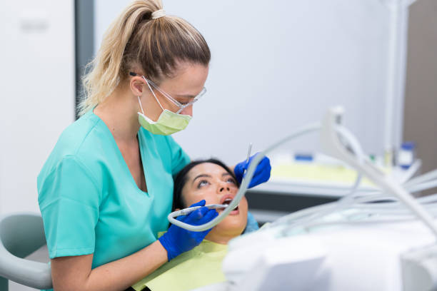 Best Emergency X-Rays and Diagnostics in Benavides, TX